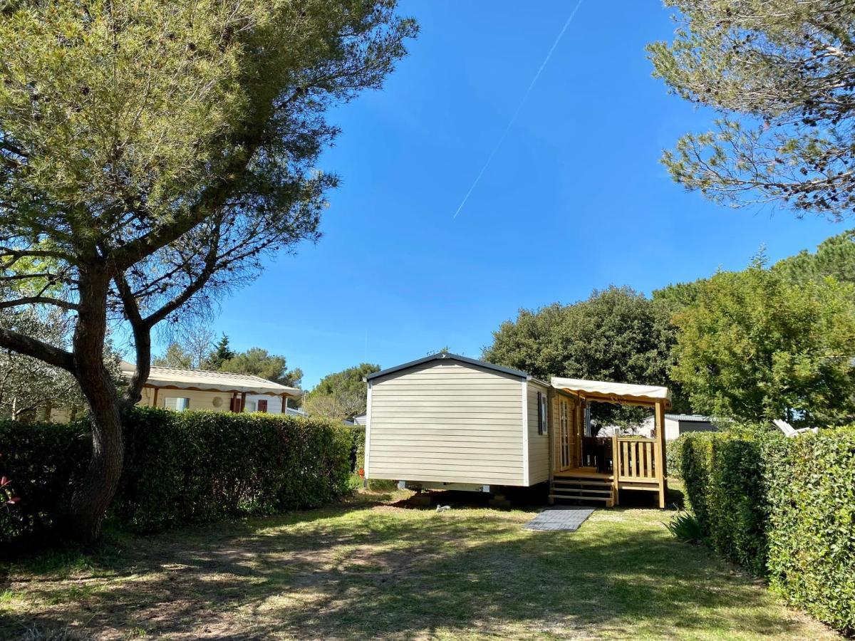 New Jungle - Clim - Wifi - Draps & Serviettes - Bbq - 10' Des Plages Camping Lattes